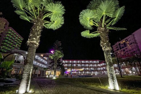 Flamingo Beach Hotel - Изображение 1